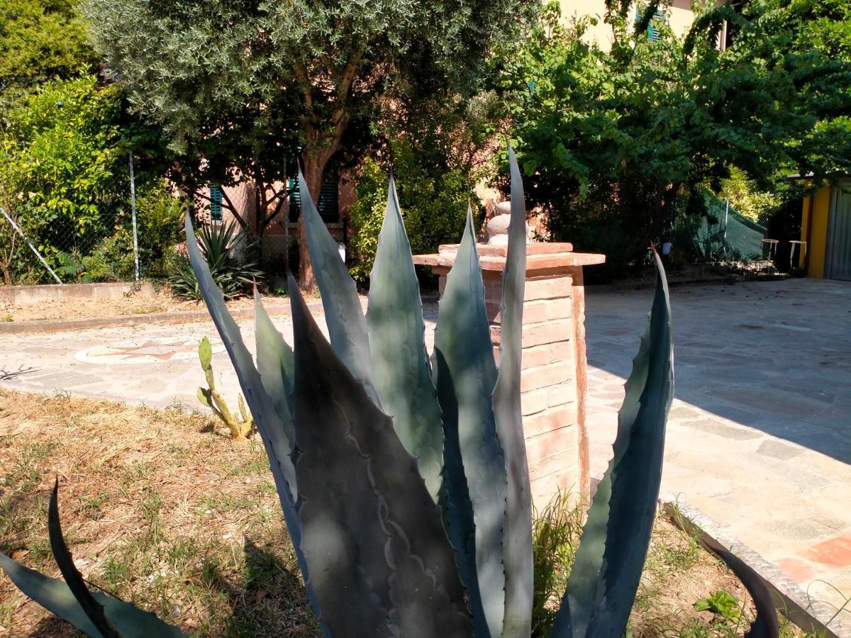 Il Cantuccio ルッカ エクステリア 写真